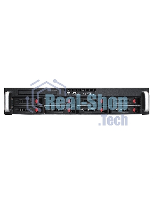 Серверная платформа ExeGate Pro 2U550-HS08 RM 19