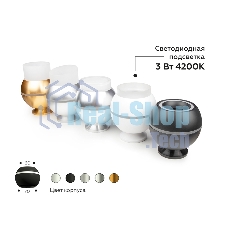 Насадка для корпуса светильника N7160 FR/CL белый матовый/прозрачный D70*H33mm Out20mm MR16