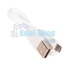 Портативный аккумулятор HOCO J41 Treasure mobile (10000mAh), белый
