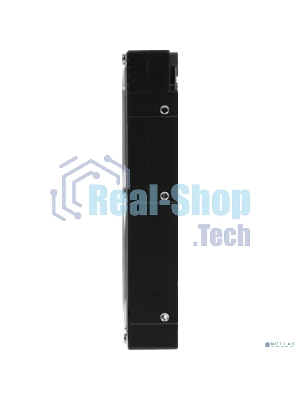 Жесткий диск Seagate HDD SAS 6Tb Exos 7E10 7200 12Gb/s 256Mb 1 year warranty (replacement ST6000NM020B, ST6000NM029A, MG08SDA600E)