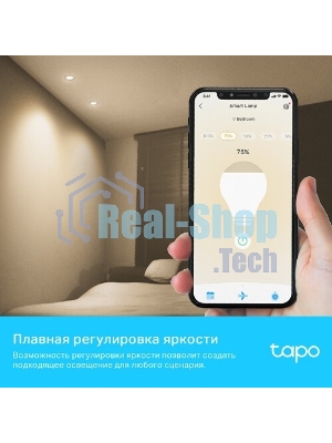 Умная диммируемая Wi-Fi лампа TP-Link Tapo L610