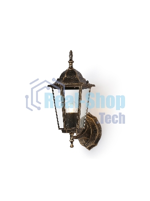 Уличный настенный светильник Ambrella light ST2012 GD/BK/CL золото/черный/прозрачный IP54 E27 max 40W 360*150*210