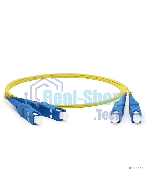 Патч-корд оптический соединительный Rexant (SM), 9/125 (OS2), SC/UPC-SC/UPC, (Duplex), LSZH, 3м