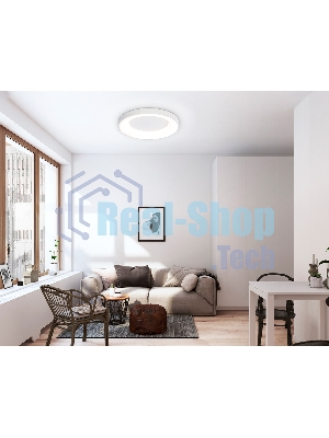 Потолочный светодиодный светильник Ambrella light FZ1401 WH белый IP20 48W 3000K-6500K D500*50 (ПДУ ИК)