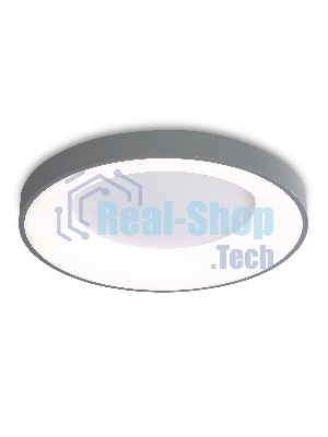 Потолочный светодиодный светильник Ambrella light FZ1402 GR серый IP20 48W 3000K-6500K D500*50 (ПДУ ИК)
