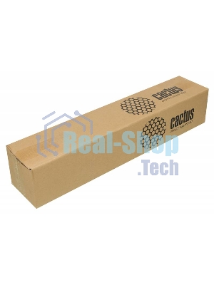 Бумага Cactus CS-PP230-61030 24