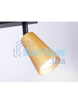 Накладной поворотный спот Ambrella light TA13146/2 BK/GD черный/золото GU10/2 max 12W 295*60*130