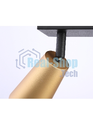 Накладной поворотный спот Ambrella light TA13146/2 BK/GD черный/золото GU10/2 max 12W 295*60*130