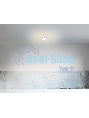 Светильник Ambrella light TN191 SL/S серебро/песок GU5.3 D80*60