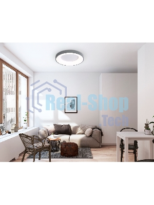 Потолочный светодиодный светильник Ambrella light FZ1402 GR серый IP20 48W 3000K-6500K D500*50 (ПДУ ИК)