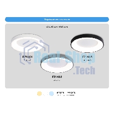 Потолочный светодиодный светильник Ambrella light FZ1402 GR серый IP20 48W 3000K-6500K D500*50 (ПДУ ИК)