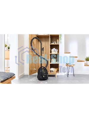 Пылесос Bosch BGL38GOLD черный/золотистый, 350/1700 Вт, уборка сухая, пылесборник мешок 4 л