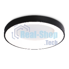 Потолочный светодиодный светильник Ambrella light FZ1403 BK черный IP20 48W 3000K-6500K D500*50 (ПДУ ИК)