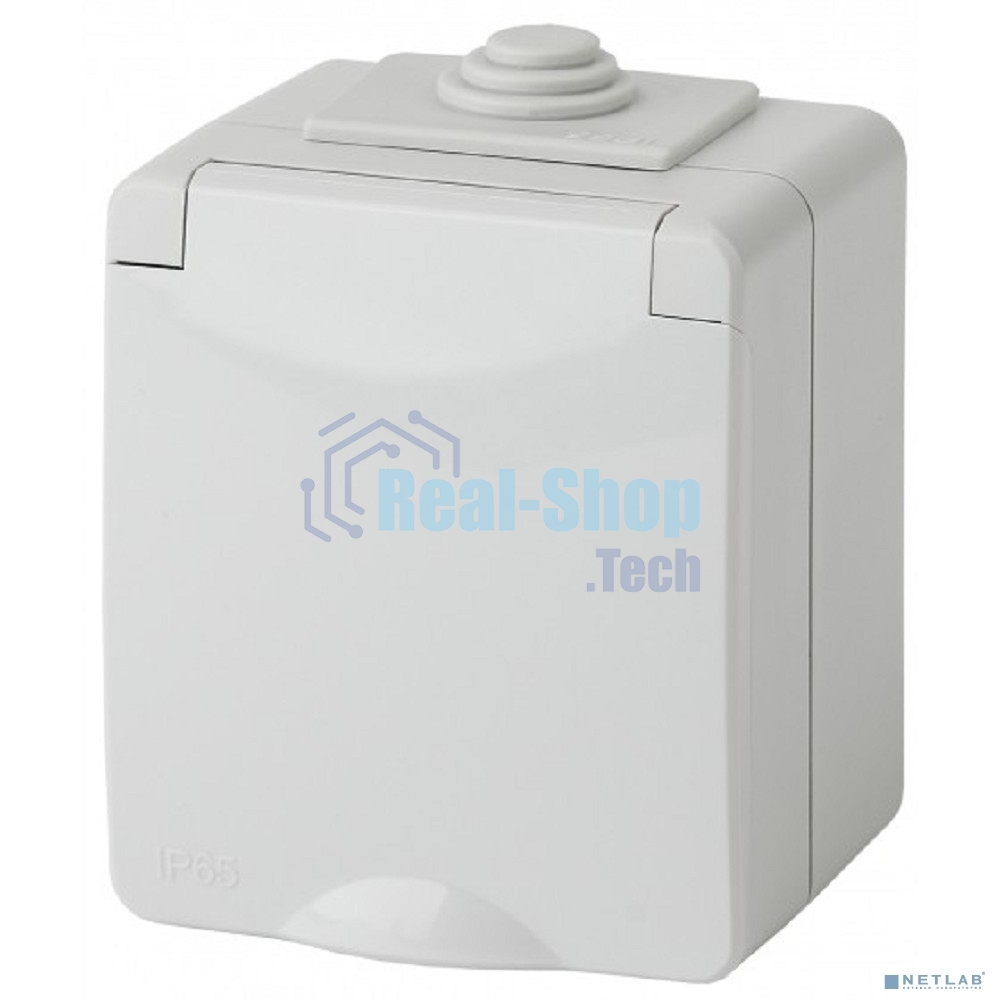 Розетка ЭРА ОП 2P+E 11-2602-03 16А-250В с защ. шторками IP65 сер.