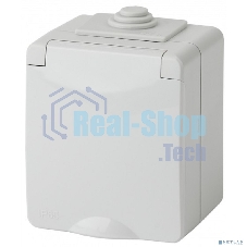 Розетка ЭРА ОП 2P+E 11-2602-03 16А-250В с защ. шторками IP65 сер.