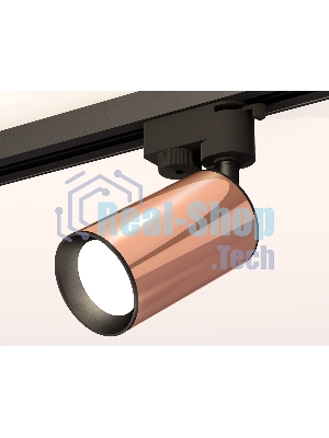 Светильник Ambrella light XT6326010 PPG/SBK золото розовое полированное/черный песок MR16 GU5.3 (A2521, C6326, N6102)