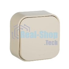 Выключатель 10A 1-клав., сл. кость Quteo