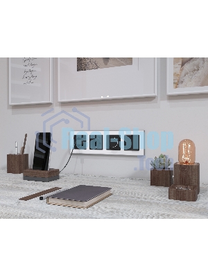 Комплект механизма электрической розетки 2USB С+C 20W с/з на винтовых зажимах 16A-250V ALFA Черный матовый QUANT (AP8105, VM165) MA810510