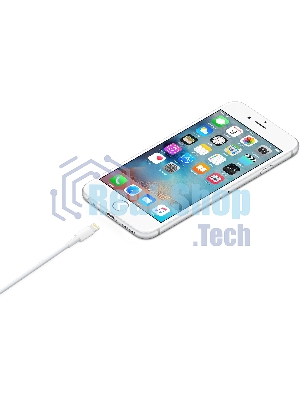 Кабель Apple для iPhone 5/5S MD819ZM/A (MD819ZM/A)