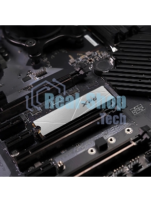 Накопитель SSD ADATA XPG GAMMIX S60, 1Tb, PCIe 4.0 x4, M.2 2280, NVMe, R/W 5000/3200, с радиатором