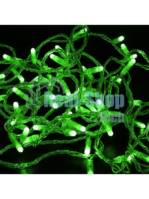 Гирлянда Neon-night Нить 10м, с эффектом мерцания, прозрачный ПВХ, 24В, Зеленый