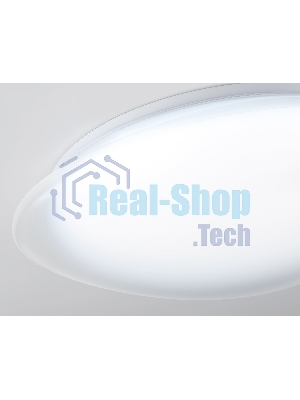 Потолочный светодиодный светильник Ambrella light FZ1605 FR матовый IP20 60W 5000K 510*100 (Без ПДУ)