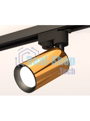Светильник Ambrella light XT6327010 PYG/SBK золото желтое полированное/черный песок MR16 GU5.3 (A2521, C6327, N6102)