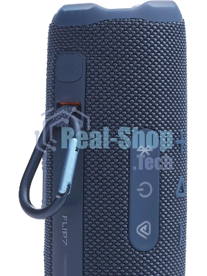 Колонка портативная JBL FLIP 7 синий 25W 1.0 BT 4800mAh (JBLFLIP7BLU)