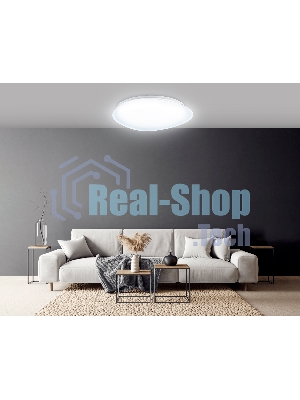 Потолочный светодиодный светильник Ambrella light FZ1605 FR матовый IP20 60W 5000K 510*100 (Без ПДУ)
