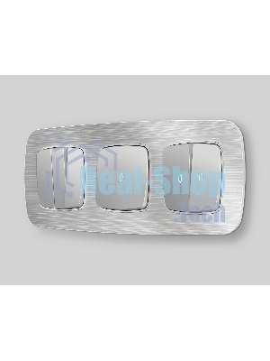 Рамка OMEGA Radian (Серебро Металл шлифованный) 3-ая OF580103