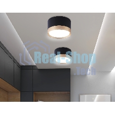 Светильник Ambrella light TN52359 BK/GD черный/золото GX53 max 12W D82*50