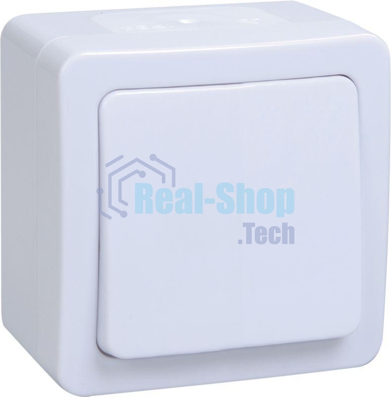 Выключатель IEK EVMP10-K01-10-54-EC ВС20-1-0-ГПБ выкл 1кл о/у IP54 (цвет клавиш: белый) ГЕРМЕС PLUS