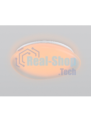 Светодиодный светильник Ambrella light FZ1610 FR матовый IP20 40W 3000-6500K+RGB 410*100 (ПДУ ИК)