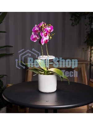 Светильник фито Cactus GARDEN светод. 7.5Вт цв.св.:белый (CS-LED-ORCHID)