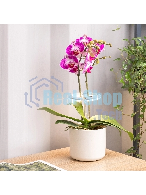 Светильник фито Cactus GARDEN светод. 7.5Вт цв.св.:белый (CS-LED-ORCHID)