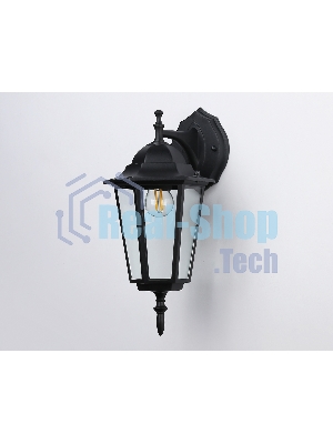 Уличный настенный светильник Ambrella light ST2018 BK/CL черный/прозрачный IP54 E27 max 40W 360*150*210