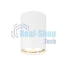 Светильник Ambrella light TN213101 WH белый GU5.3 D55*80