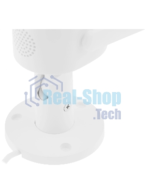 Камера IP Xiaomi Outdoor Camera AW300 белый (3 Mп, 2304 х1296, 101,7°, Wi-Fi, IP66) (BHR6816EU)