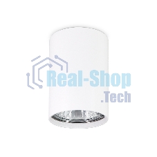 Светильник Ambrella light TN213101 WH белый GU5.3 D55*80