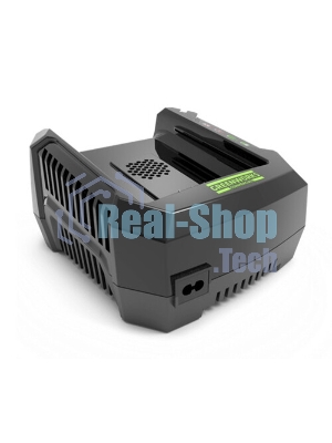 Зарядное устройство Greenworks 291470782В