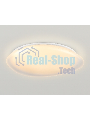 Светодиодный светильник Ambrella light FZ1615 FR матовый IP20 60W 3000-6500K+RGB 510*100 (ПДУ ИК)