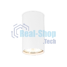 Светильник Ambrella light TN213108 WH белый GU5.3 D55*100