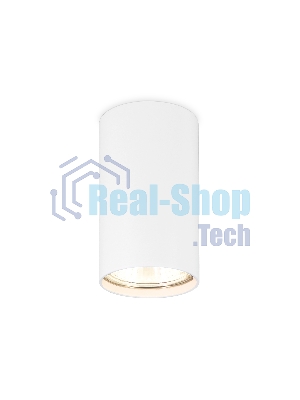 Светильник Ambrella light TN213108 WH белый GU5.3 D55*100
