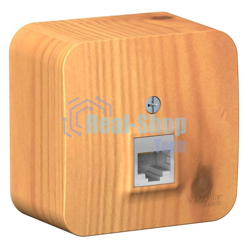 Розетка компьютерная 1-м ОП Blanca RJ45 кат.5e изол. пласт. ясень SchE BLNIA045005