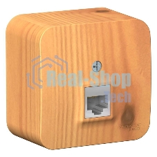 Розетка компьютерная 1-м ОП Blanca RJ45 кат.5e изол. пласт. ясень SchE BLNIA045005