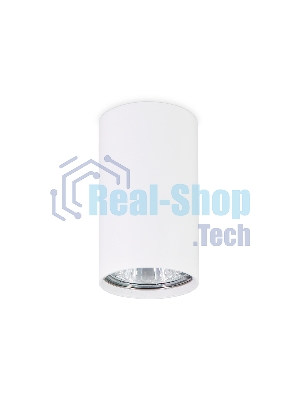 Светильник Ambrella light TN213108 WH белый GU5.3 D55*100