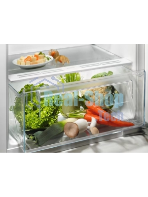 Встраиваемый холодильник Electrolux LRB3AE12S, механическое управление, полезный объем: 208 л, перенавешиваемые двери, 54.8x54.9x121.8 см, белый