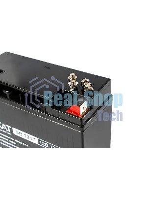 Батарея для ИБП Бастион SKAT SB 1217, 12В, 17Ач