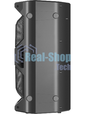 Портативная акустика Defender Rage 50 Вт Light/BT/FM/USB/LED/TWS черный