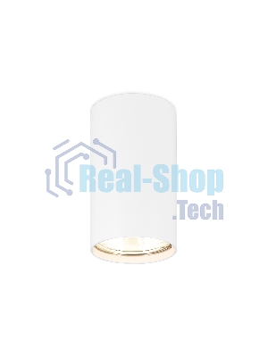 Светильник Ambrella light TN213133 WH белый GU10 D60*90
